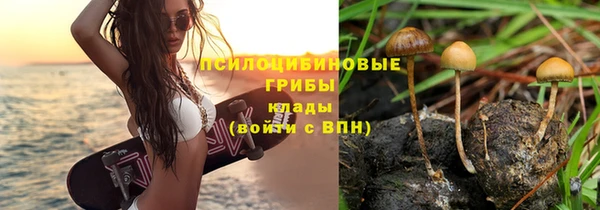 гидропоника Балахна
