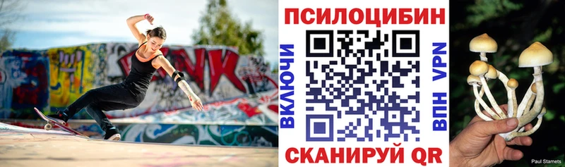 где найти   Ясногорск  Псилоцибиновые грибы Psilocybe 