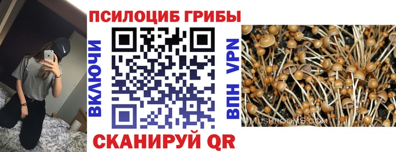 Псилоцибиновые грибы MAGIC MUSHROOMS Ясногорск