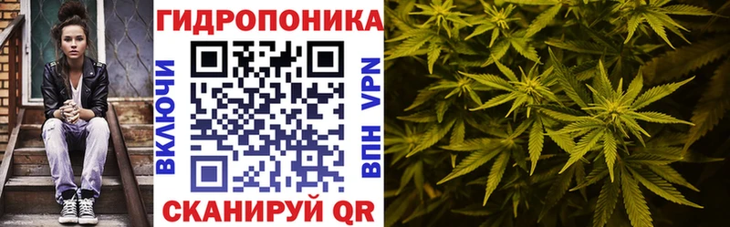 Конопля планчик  даркнет сайт  Ясногорск 